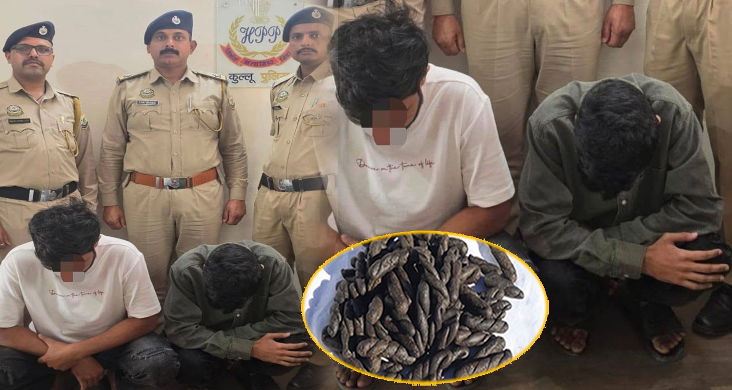 kullu police arrest two youths 202 grams charas cash manikaran valley