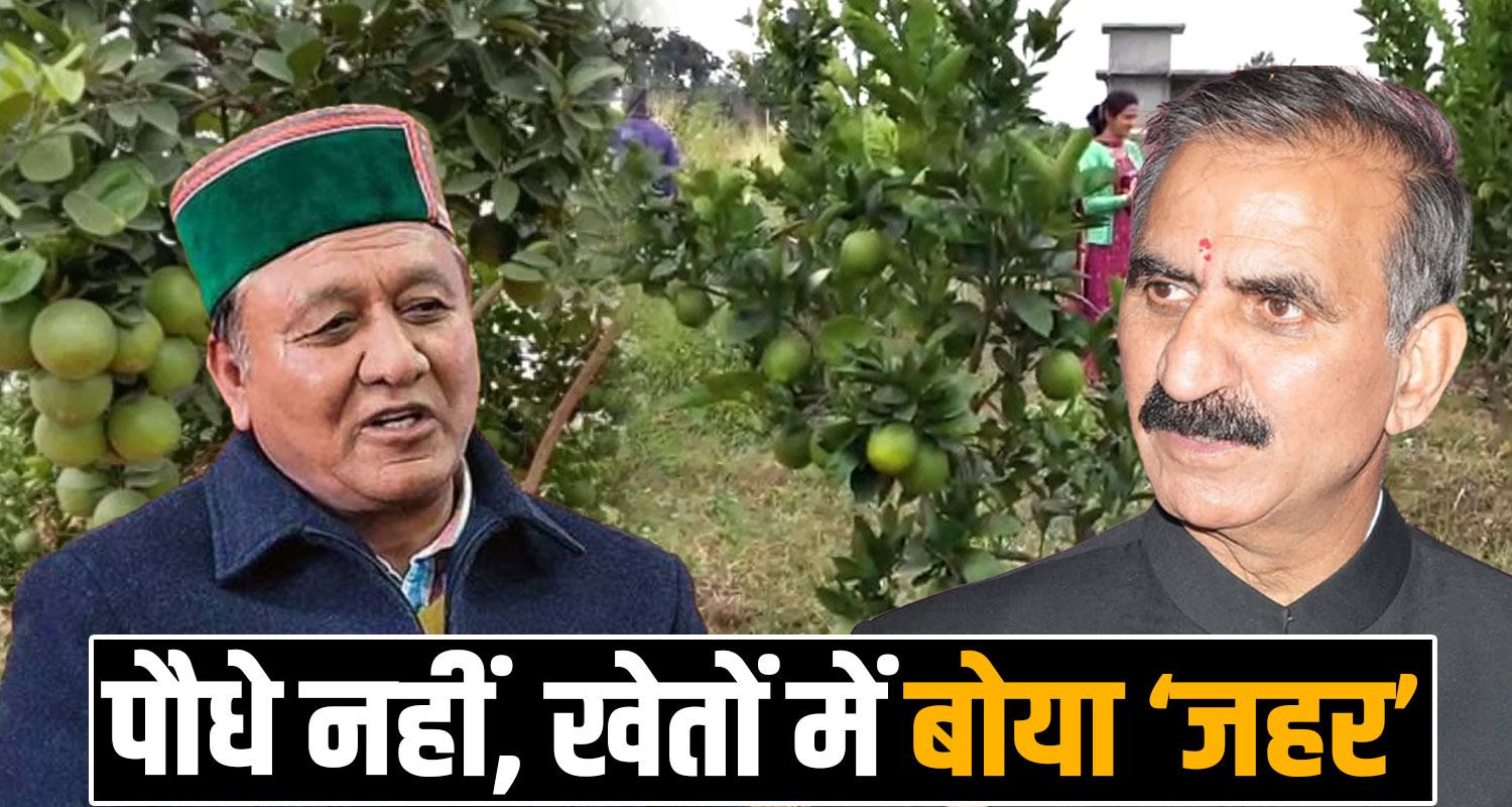 HP SHIVA Sub Tropical Horticulture Irrigation and Value Addition Yojana Sukhu Government