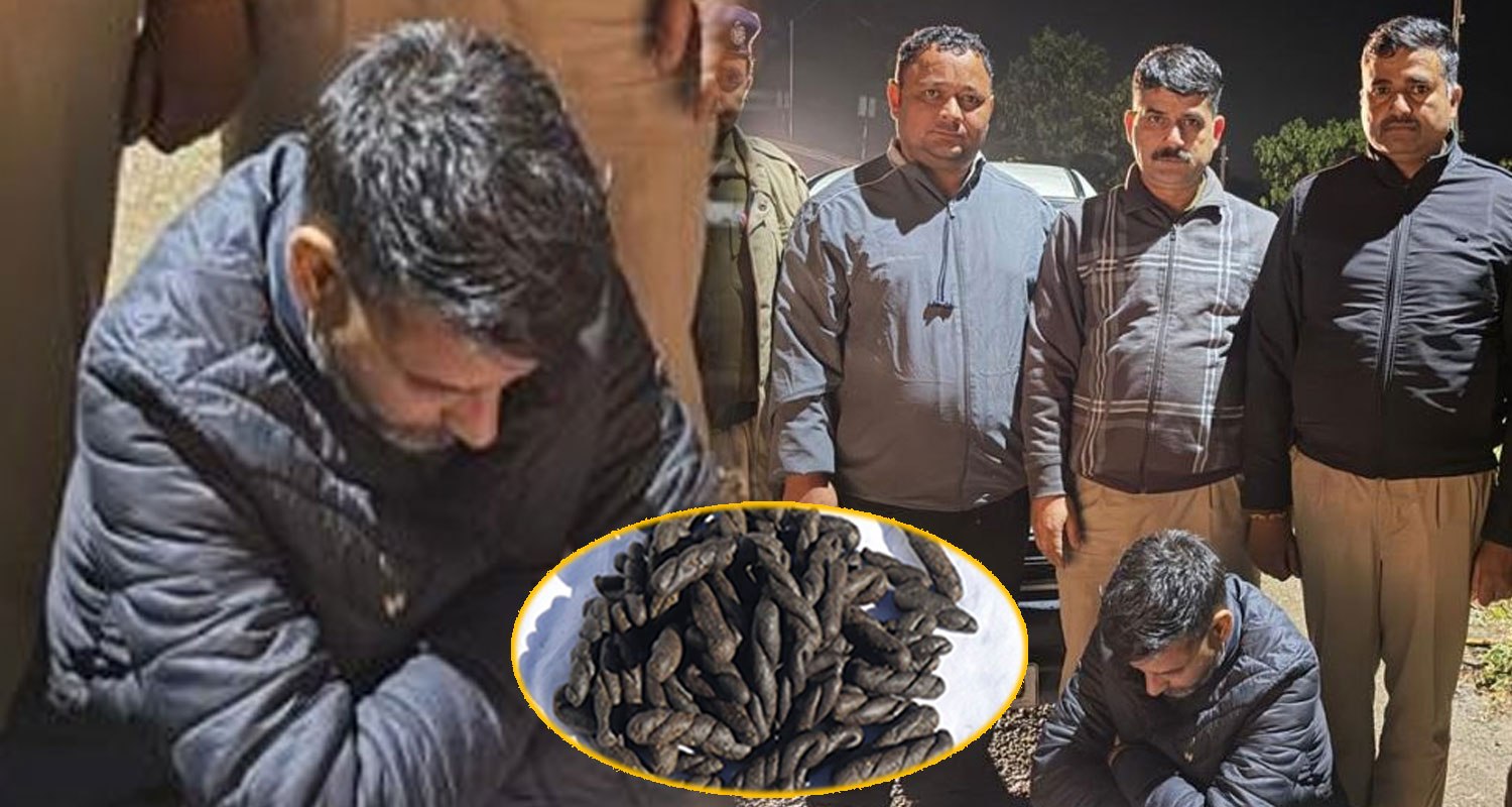 Chitta Smuggler man maruti car bilaspur road himachal police