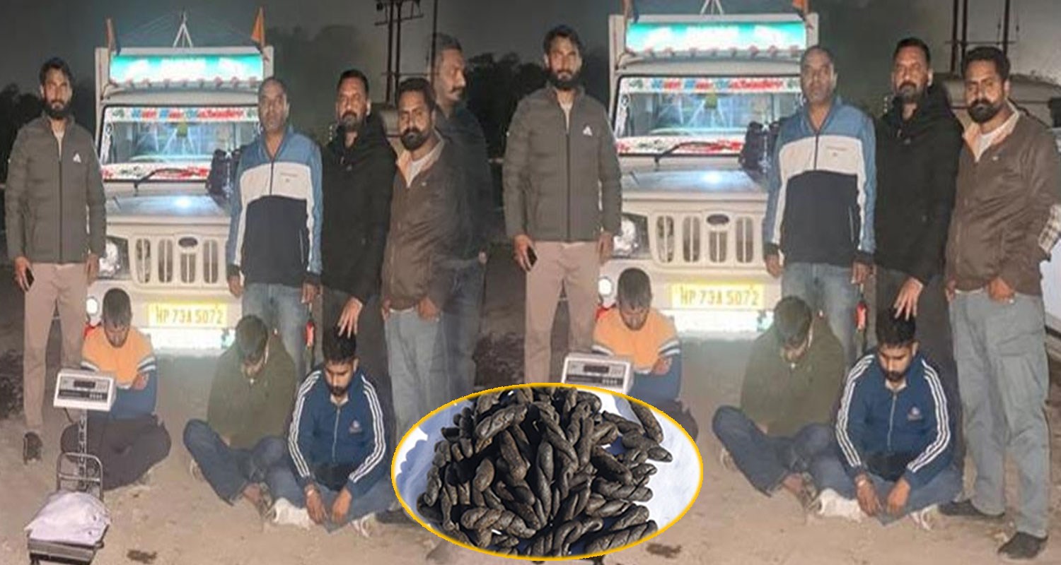 THREE CHARAS SMUGGLERS KANGRA POLICE PICKUP SMUGGLING HIMACHAL