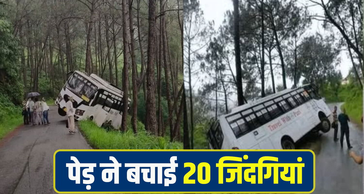 पेड़ ने बचाई 20 जिंदगियां