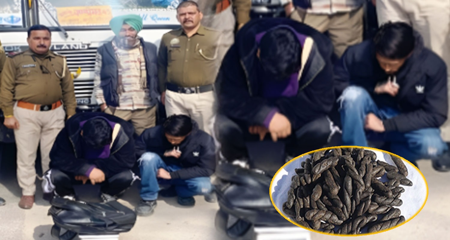 punjab roadways bus two passengers charas smugglers mandi sundernagar police