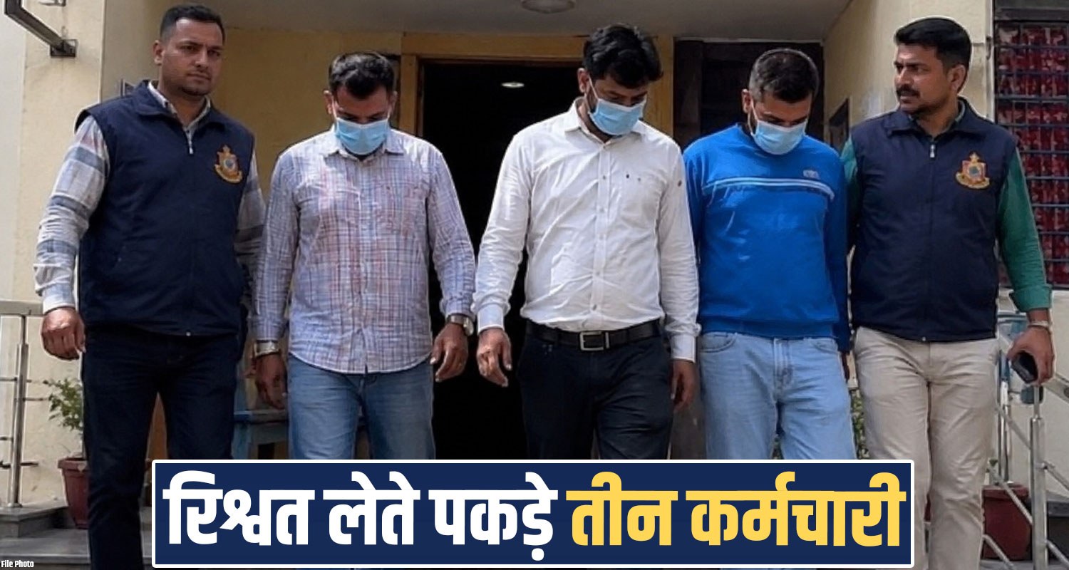 Bribery Case Kanungo Patwari Mandi Gohar Vigilance Anti Corruption Bureau