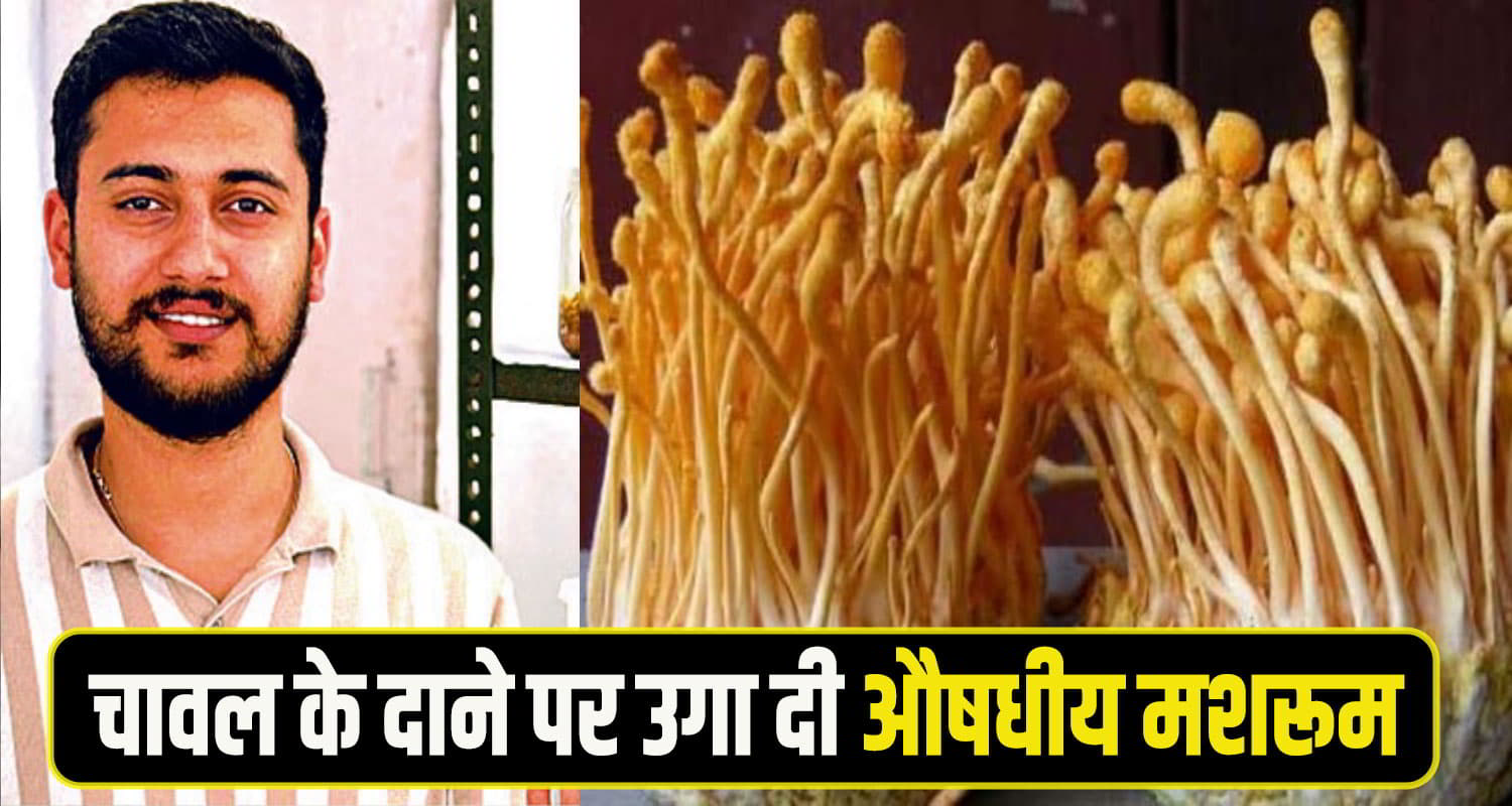 Satvik chauhan shimla