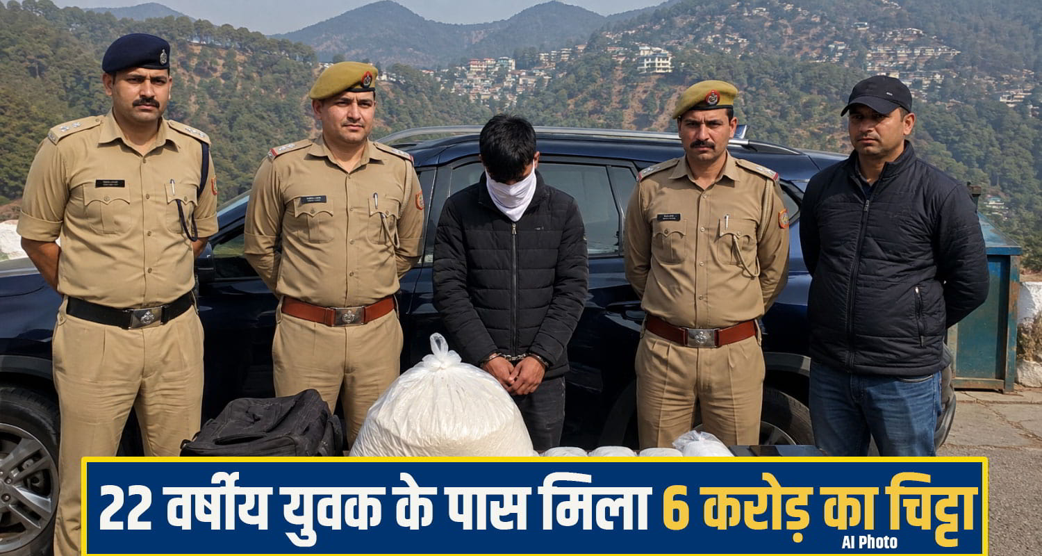shimla chitta News