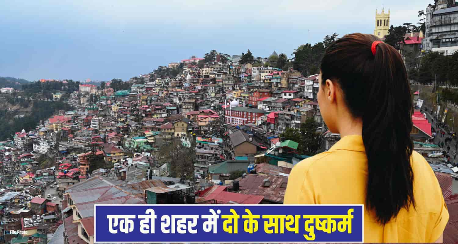 shimla crime News