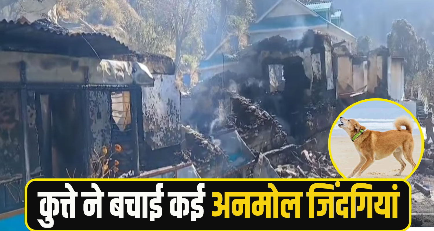 shimla fire incedent