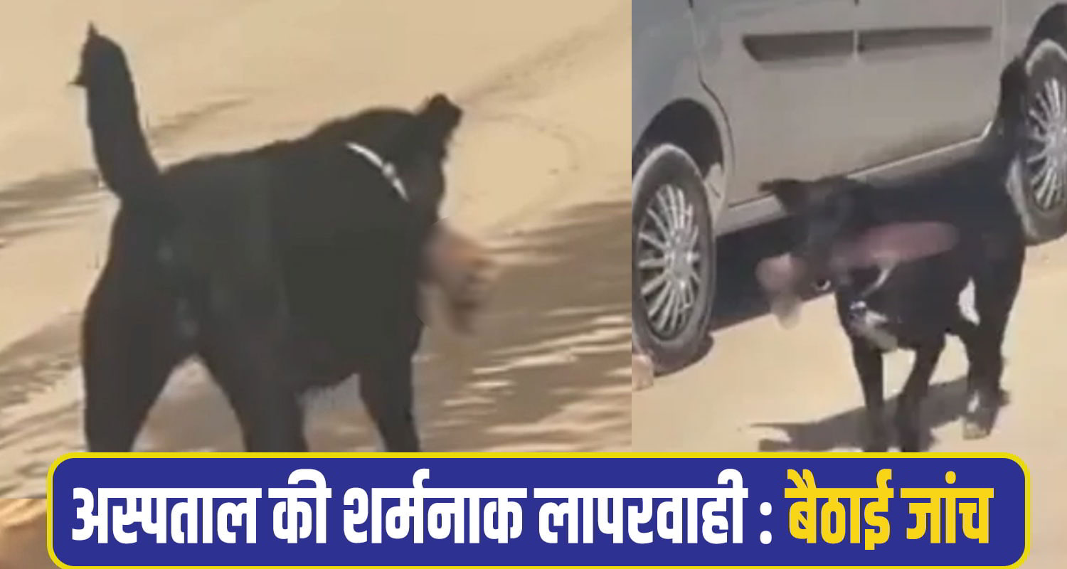 Shimla Hospital News