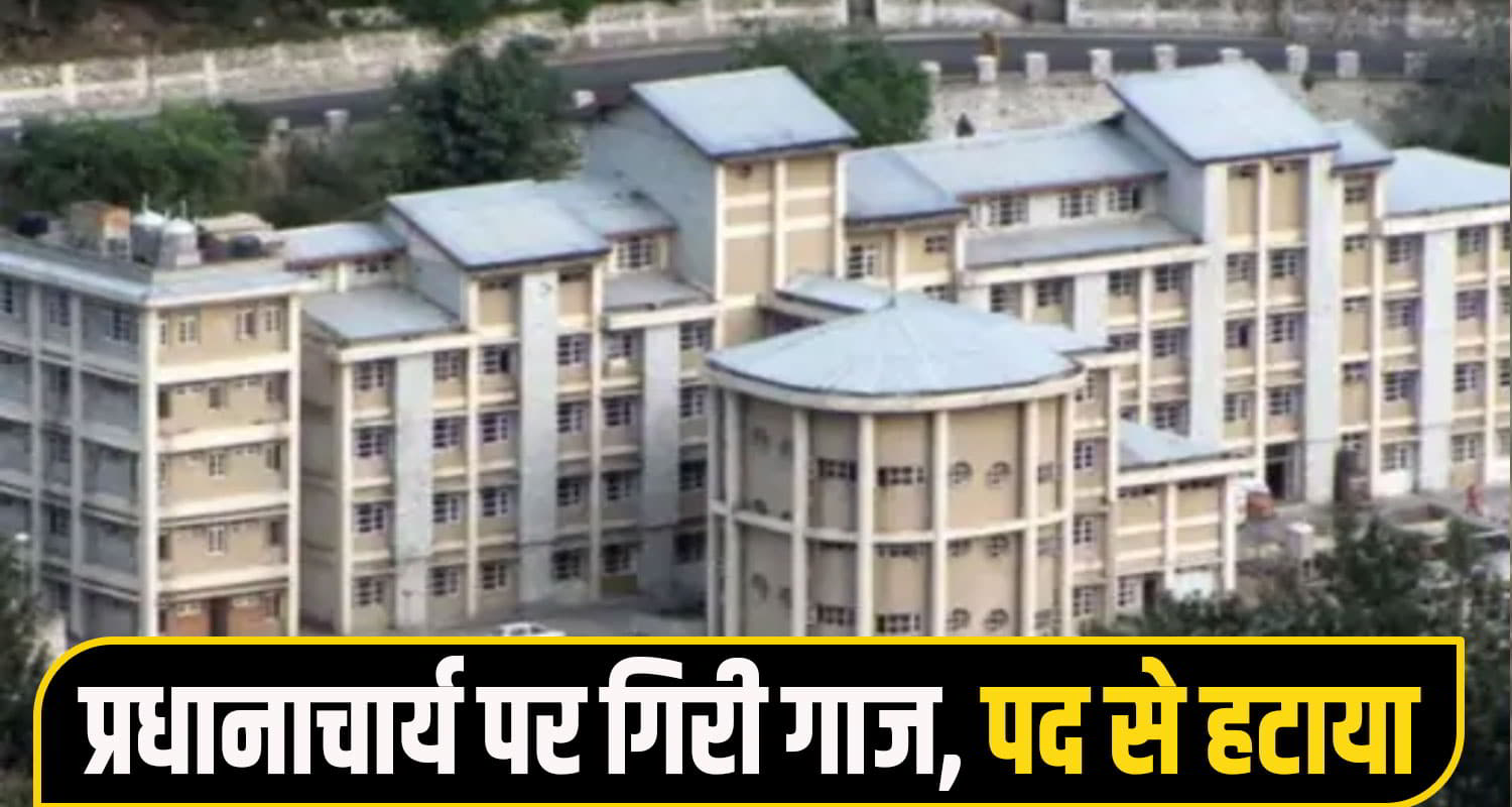 shimla nursing news