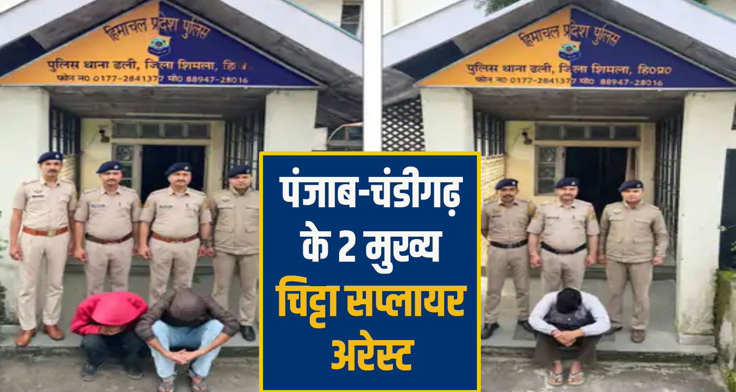 shimla police chitta