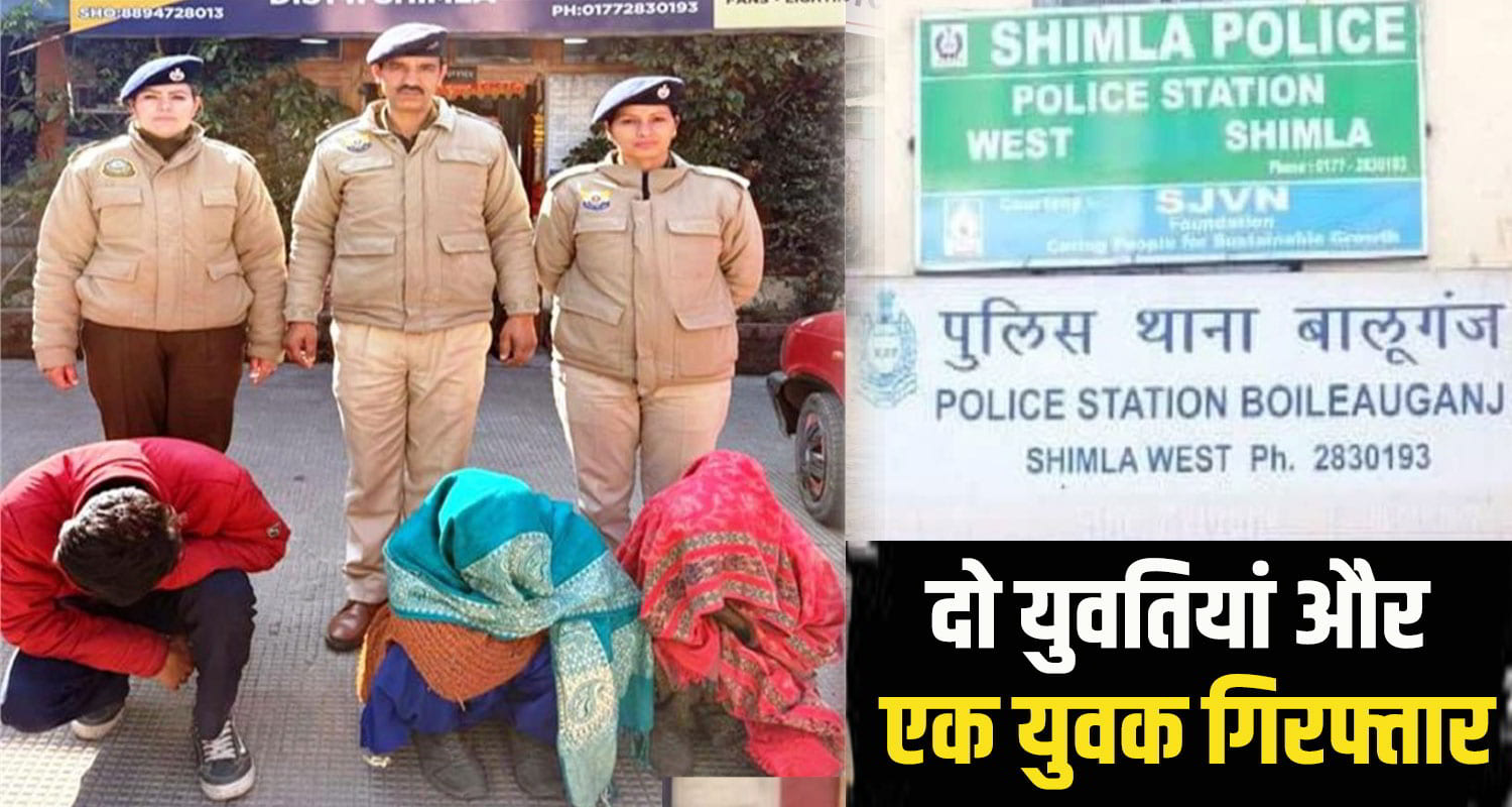 shimla theft case