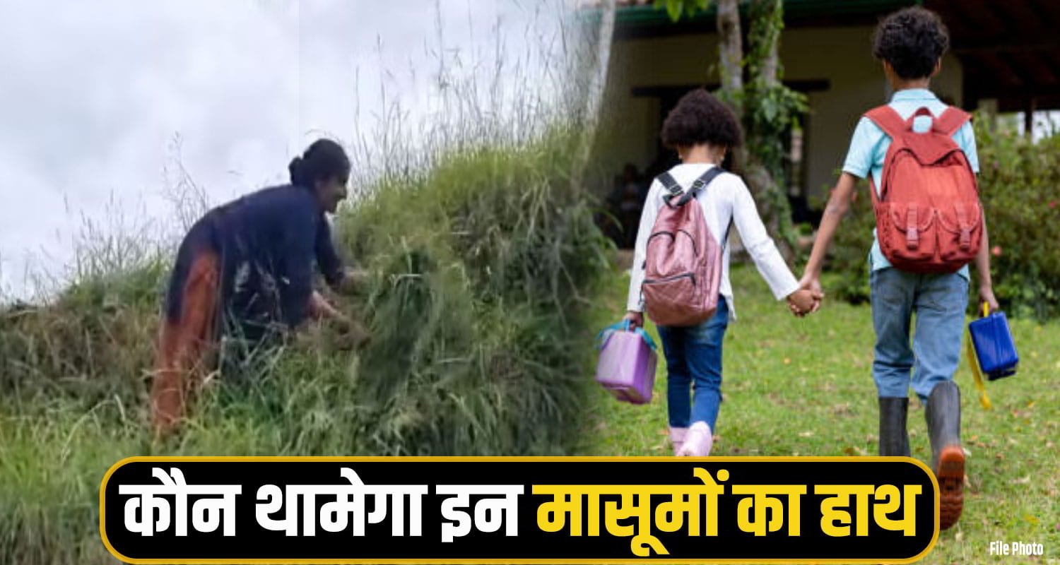 shimla woman snakebite