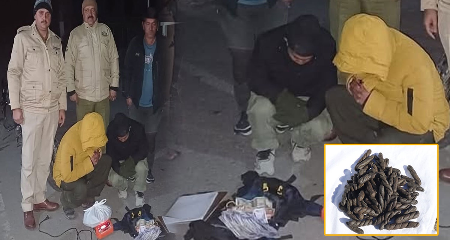 Mandi Charas Smuggler