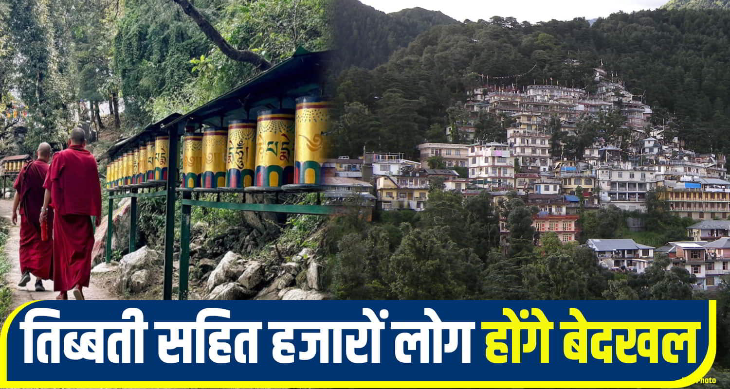 sukhu Govt Forest Land