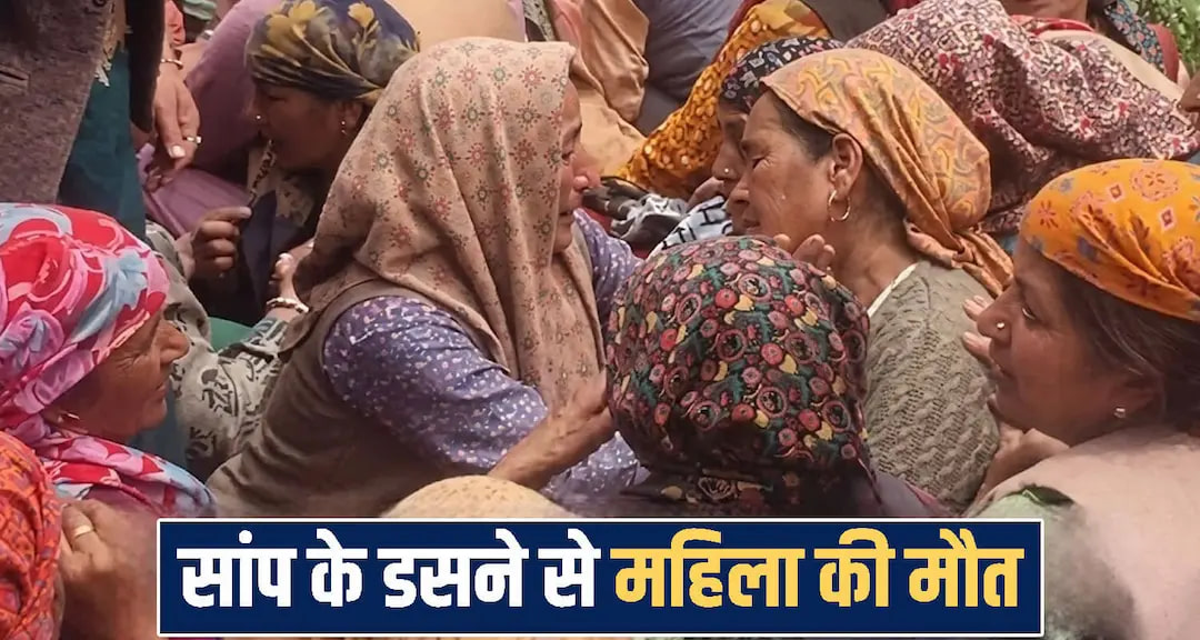 himachal news