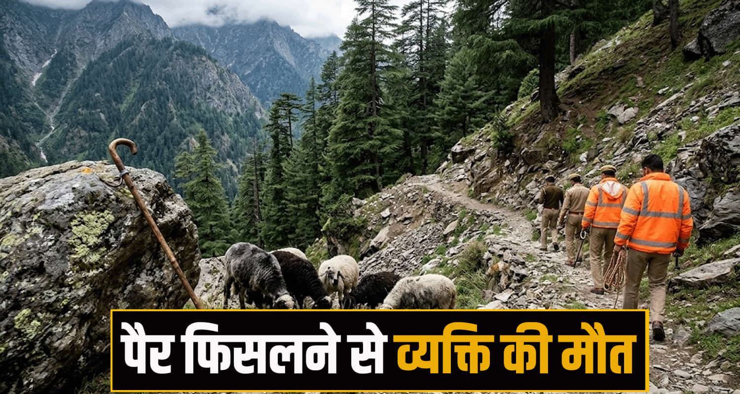 Himachal News