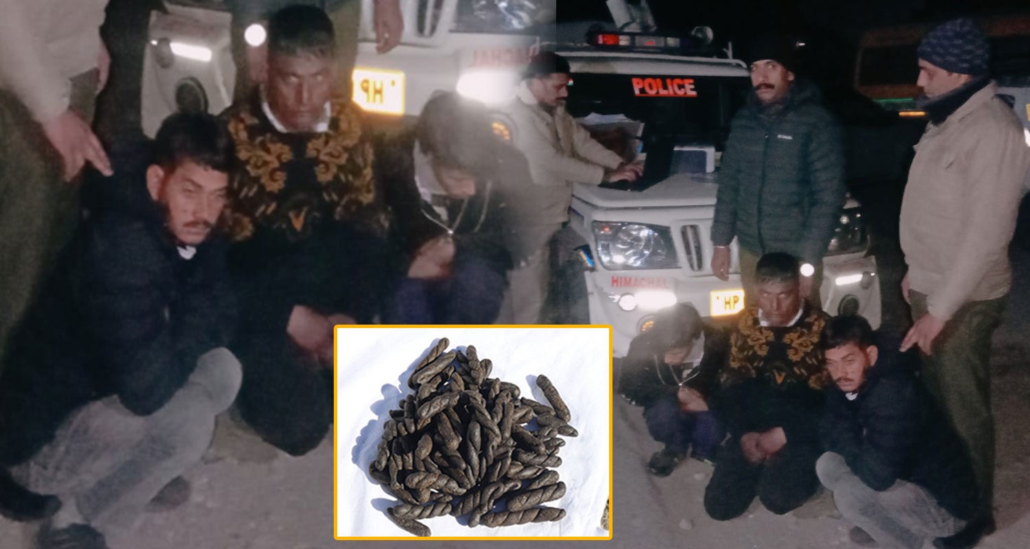 HIMACHAL CHARAS SMUGGLERS